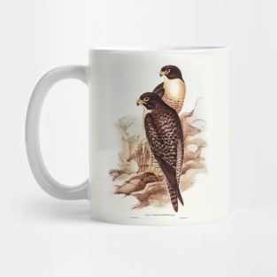 Black-cheeked Falcon Mug